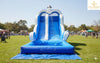 Blue Fish-Themed Water Slide