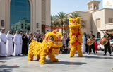 Chinese Lion Dance Performance
