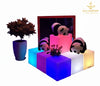 LED Light Cube