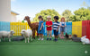 Interactive Petting Zoo Package